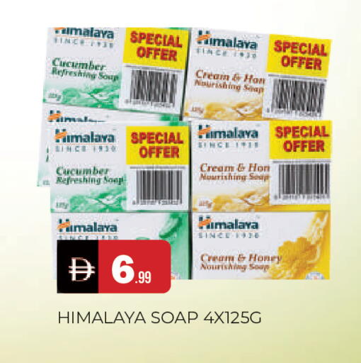 Cucumber available at المدينة in الإمارات العربية المتحدة , الامارات - الشارقة / عجمان