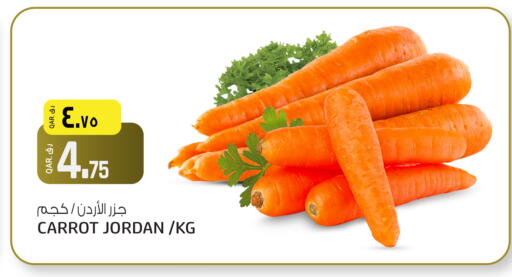 Carrot from Jordan available at السعودية in قطر - أم صلال