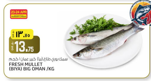 available at السعودية in قطر - أم صلال