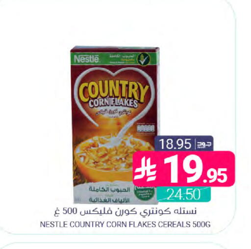 available at اسواق المنتزه in مملكة العربية السعودية, السعودية, سعودية - المنطقة الشرقية