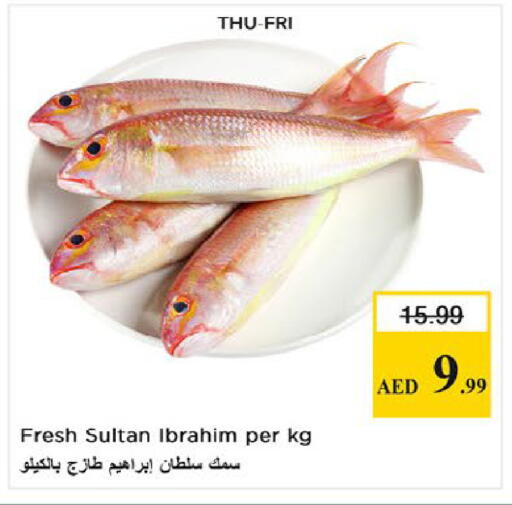 available at Nesto Hypermarket in UAE - Fujairah