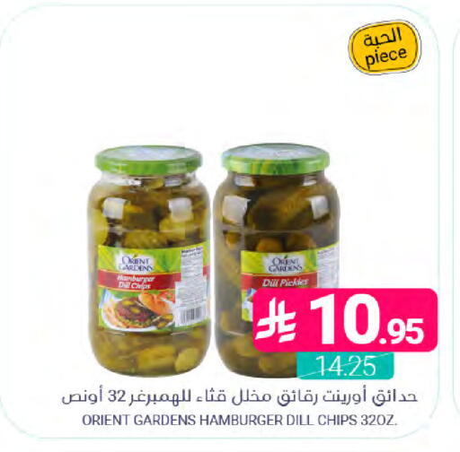 Dill available at اسواق المنتزه in مملكة العربية السعودية, السعودية, سعودية - المنطقة الشرقية