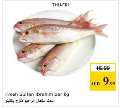 available at Nesto Hypermarket in UAE - Abu Dhabi