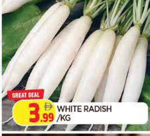 Radish available at المدينة in الإمارات العربية المتحدة , الامارات - الشارقة / عجمان