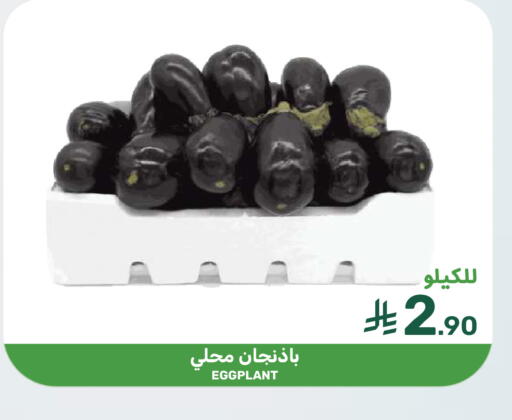 Eggplant available at  مـزايــا in مملكة العربية السعودية, السعودية, سعودية - المنطقة الشرقية