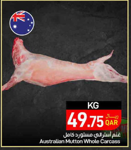 available at ســبــار in قطر - أم صلال