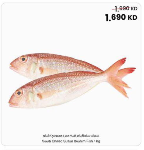 available at The Sultan Center in Kuwait - Jahra Governorate