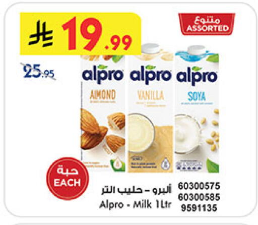 Vanilla available at بن داود in مملكة العربية السعودية, السعودية, سعودية - مكة المكرمة