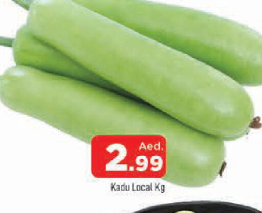 available at المدينة in الإمارات العربية المتحدة , الامارات - الشارقة / عجمان