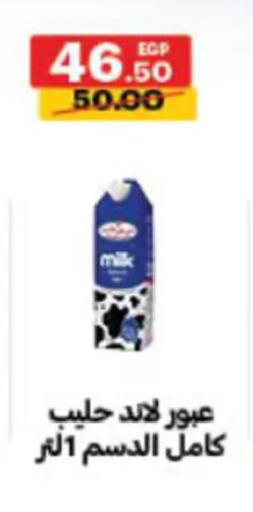 available at Al Habib Market in Egypt - Cairo