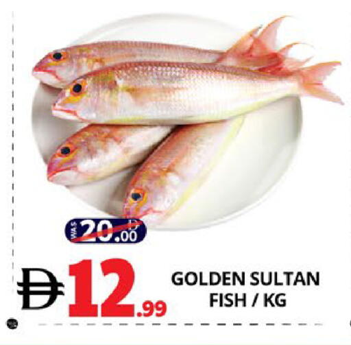 available at اكسبرس المدينة هايبرماركت in الإمارات العربية المتحدة , الامارات - أبو ظبي