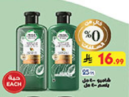 available at بن داود in مملكة العربية السعودية, السعودية, سعودية - الطائف