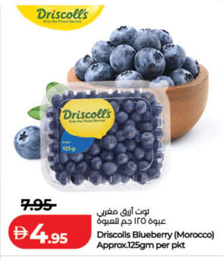 Blueberry BlueBerry from Morocco available at Lulu Hypermarket in UAE - Sharjah / Ajman