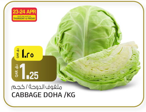 Cabbage from Qatar available at السعودية in قطر - أم صلال