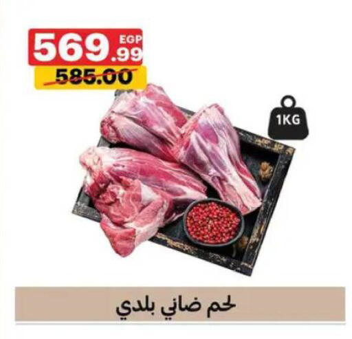 available at Al Habib Market in Egypt - Cairo