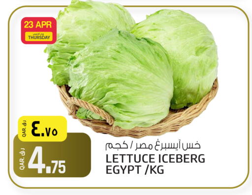 Lettuce from Egypt available at السعودية in قطر - أم صلال