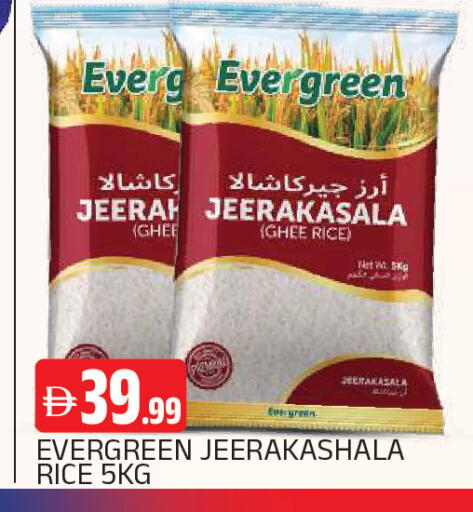 available at المدينة in الإمارات العربية المتحدة , الامارات - الشارقة / عجمان