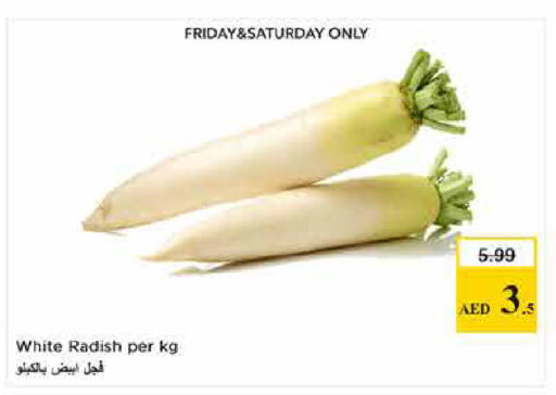 Radish available at لاست تشانس in الإمارات العربية المتحدة , الامارات - ٱلْفُجَيْرَة‎