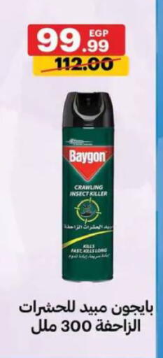 available at الحبيب ماركت in Egypt - القاهرة