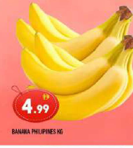 Banana available at المدينة in الإمارات العربية المتحدة , الامارات - الشارقة / عجمان