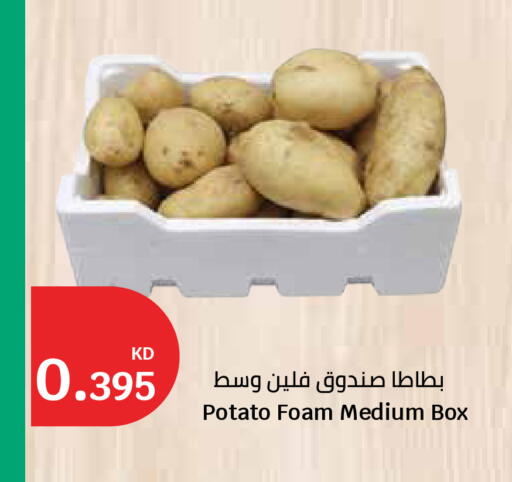 Potato available at City Hypermarket in Kuwait - Ahmadi Governorate
