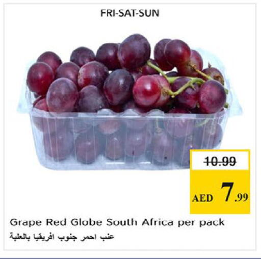 from South Africa available at نستو هايبرماركت in الإمارات العربية المتحدة , الامارات - ٱلْفُجَيْرَة‎