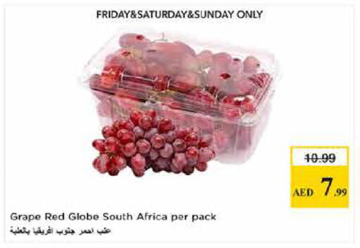 from South Africa available at لاست تشانس in الإمارات العربية المتحدة , الامارات - ٱلْفُجَيْرَة‎