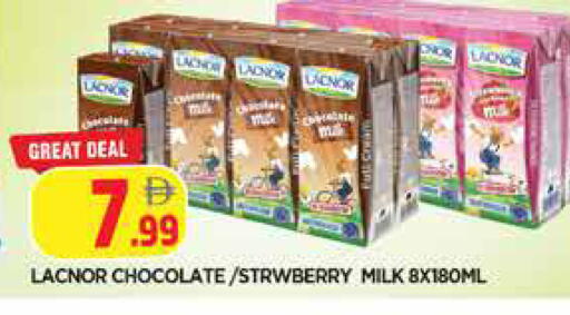 available at المدينة in الإمارات العربية المتحدة , الامارات - الشارقة / عجمان