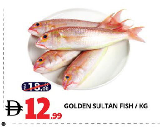 available at اكسبرس المدينة هايبرماركت in الإمارات العربية المتحدة , الامارات - أبو ظبي