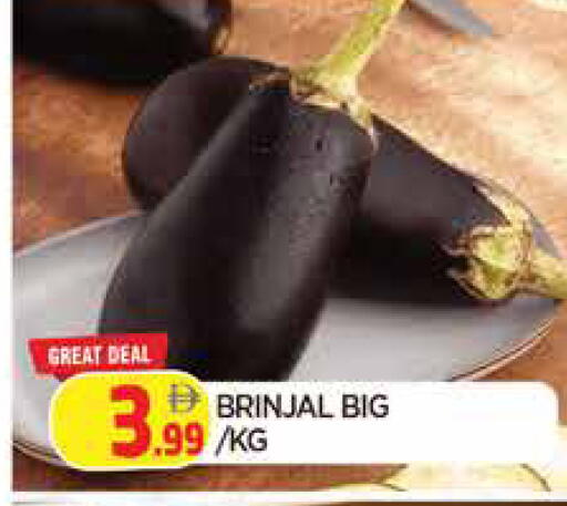 available at المدينة in الإمارات العربية المتحدة , الامارات - الشارقة / عجمان