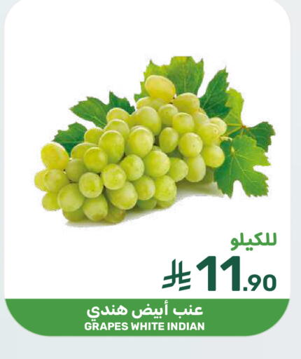 Grapes from India available at  مـزايــا in مملكة العربية السعودية, السعودية, سعودية - المنطقة الشرقية