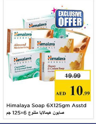 Coconut Cucumber available at Nesto Hypermarket in UAE - Sharjah / Ajman