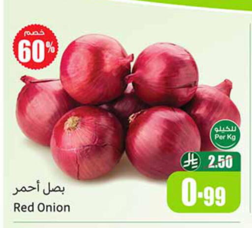 Onion available at Othaim Markets in KSA, Saudi Arabia, Saudi - Arar