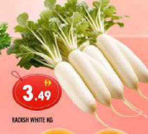 Radish available at المدينة in الإمارات العربية المتحدة , الامارات - الشارقة / عجمان