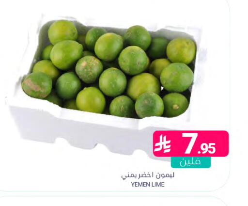 from Yemen available at اسواق المنتزه in مملكة العربية السعودية, السعودية, سعودية - المنطقة الشرقية