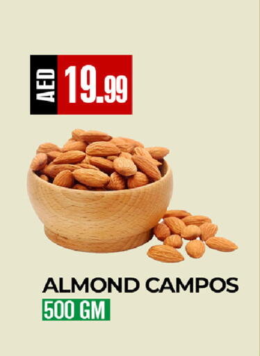 available at ريفييرا سوبرماركت in الإمارات العربية المتحدة , الامارات - أبو ظبي