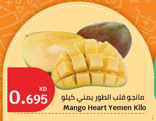 Mango from Yemen available at سيتي هايبرماركت in الكويت - محافظة الأحمدي