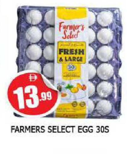 available at المدينة in الإمارات العربية المتحدة , الامارات - الشارقة / عجمان