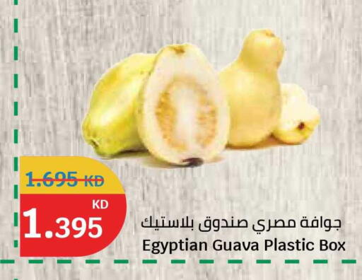 Guava from Egypt available at City Hypermarket in Kuwait - Jahra Governorate