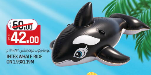 available at كنز ميني مارت in قطر - الوكرة