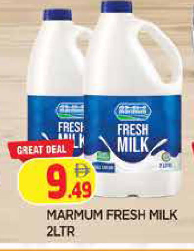 available at المدينة in الإمارات العربية المتحدة , الامارات - الشارقة / عجمان