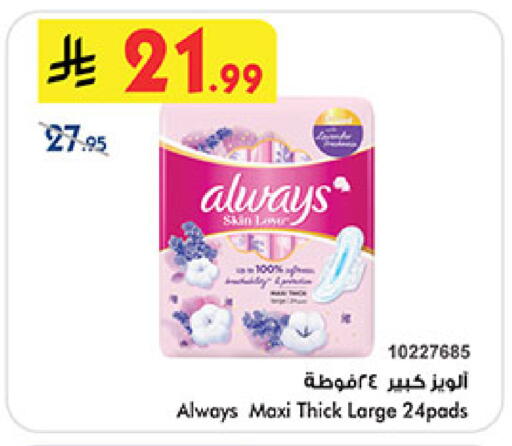 available at بن داود in مملكة العربية السعودية, السعودية, سعودية - مكة المكرمة