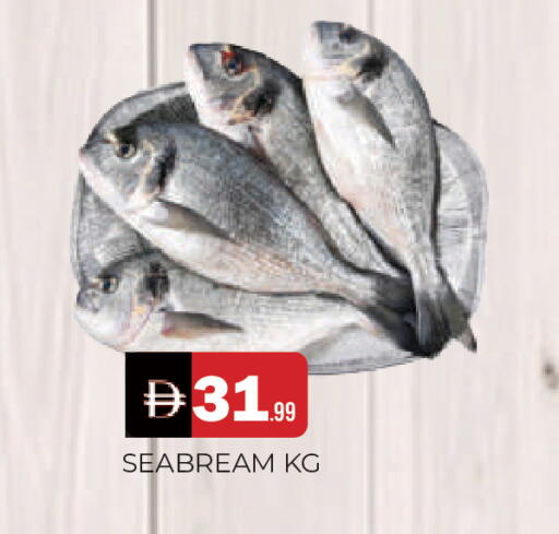 available at المدينة in الإمارات العربية المتحدة , الامارات - الشارقة / عجمان