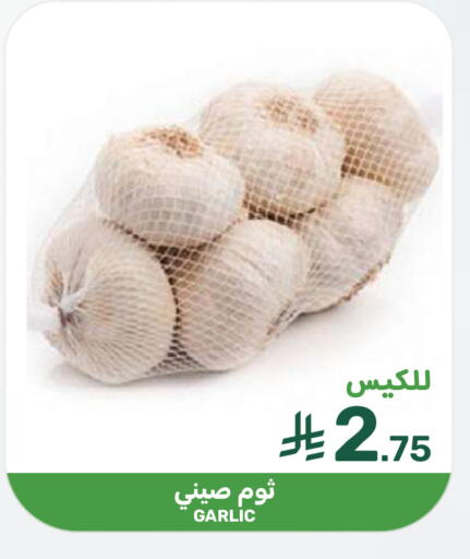 Garlic available at  مـزايــا in مملكة العربية السعودية, السعودية, سعودية - المنطقة الشرقية