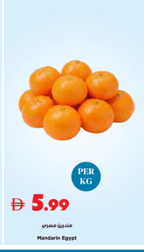 Mandarin from Egypt available at تروليز سوبرماركت in الإمارات العربية المتحدة , الامارات - دبي