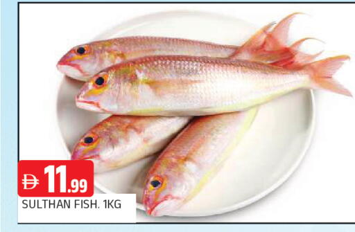 available at المدينة in الإمارات العربية المتحدة , الامارات - الشارقة / عجمان