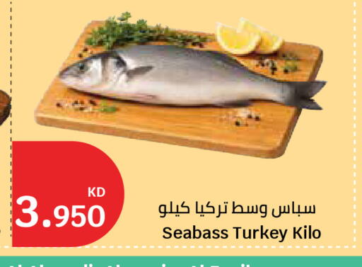 available at City Hypermarket in Kuwait - Ahmadi Governorate