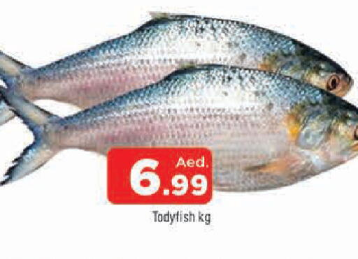 available at المدينة in الإمارات العربية المتحدة , الامارات - الشارقة / عجمان