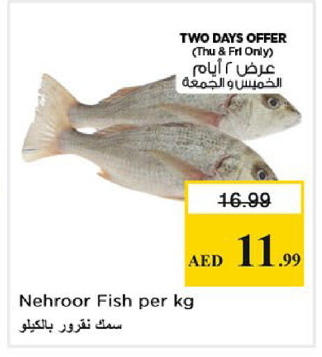 available at Nesto Hypermarket in UAE - Sharjah / Ajman