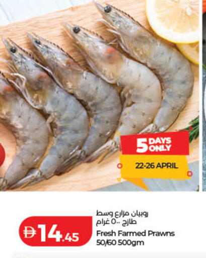 available at لولو هايبرماركت in الإمارات العربية المتحدة , الامارات - رَأْس ٱلْخَيْمَة